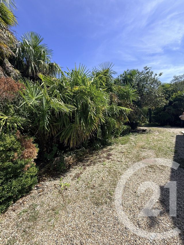 maison à vendre - 6 pièces - 213.0 m2 - QUEYRAC - 33 - AQUITAINE - Century 21 Agence Grand Cru