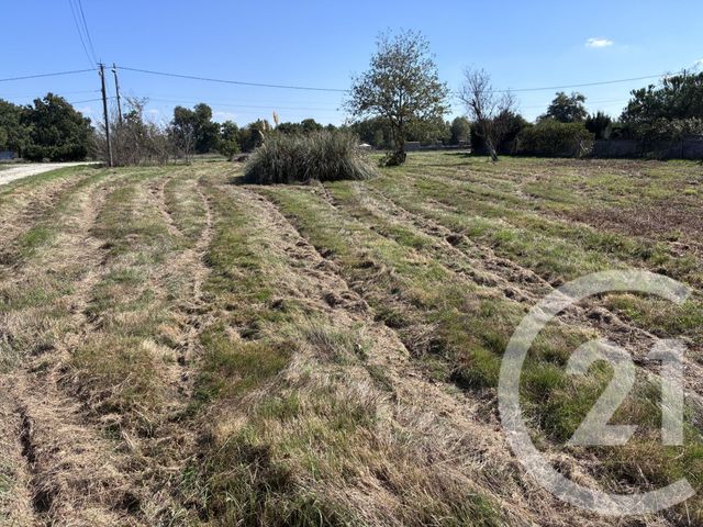 terrain à vendre - 2880.0 m2 - ST VIVIEN DE MEDOC - 33 - AQUITAINE - Century 21 Agence Grand Cru