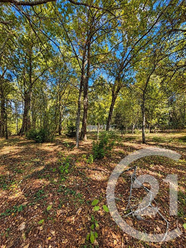 maison à vendre - 6 pièces - 132.94 m2 - LISTRAC MEDOC - 33 - AQUITAINE - Century 21 Agence Grand Cru