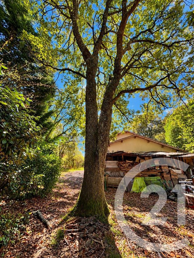 maison à vendre - 6 pièces - 132.94 m2 - LISTRAC MEDOC - 33 - AQUITAINE - Century 21 Agence Grand Cru